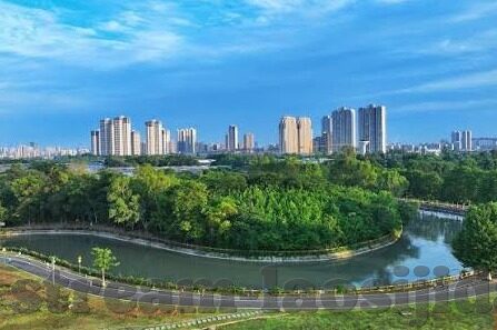 麻豆91入口-麻豆91，探索网络文化与个人信息安全的微妙平衡